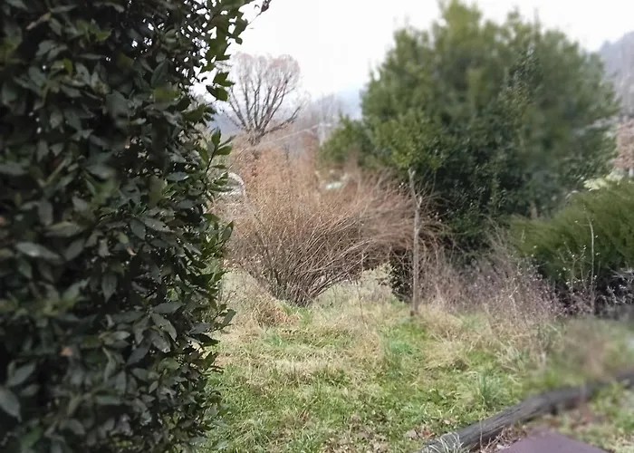 Bacciano Casa Vacanze * Poggio